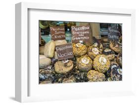 Cortona, Italy. Pecorino Sotto Vinaccia cheese rounds aged under straw.-Janet Horton-Framed Photographic Print