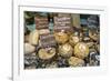 Cortona, Italy. Pecorino Sotto Vinaccia cheese rounds aged under straw.-Janet Horton-Framed Photographic Print