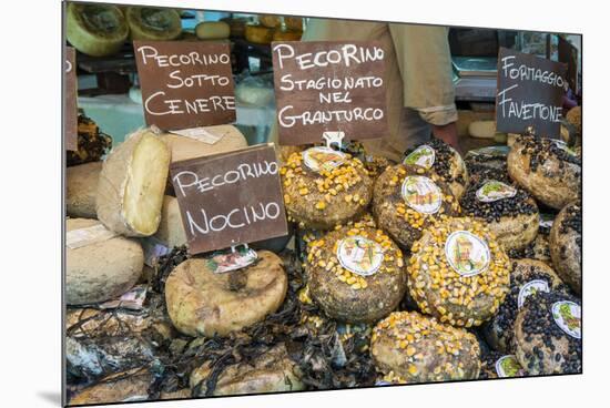 Cortona, Italy. Pecorino Sotto Vinaccia cheese rounds aged under straw.-Janet Horton-Mounted Photographic Print