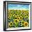 Cortona Sunflowers #2-Alan Blaustein-Framed Photographic Print