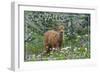 Corvallis, Oregon - Deer Fawn and Wildflowers-Lantern Press-Framed Art Print