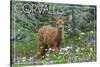 Corvallis, Oregon - Deer Fawn and Wildflowers-Lantern Press-Stretched Canvas