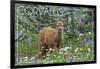 Corvallis, Oregon - Deer Fawn and Wildflowers-Lantern Press-Framed Art Print