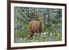 Corvallis, Oregon - Deer Fawn and Wildflowers-Lantern Press-Framed Art Print