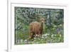 Corvallis, Oregon - Deer Fawn and Wildflowers-Lantern Press-Framed Premium Giclee Print