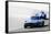 Corvette and AC Cobra Shelby Watercolor-NaxArt-Framed Stretched Canvas