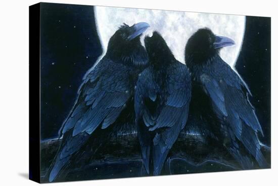 Corvus Moon-Durwood Coffey-Stretched Canvas