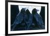 Corvus Moon-Durwood Coffey-Framed Giclee Print