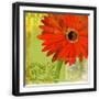 Black Frame