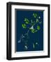 Corydalis Intea; Yellow Fumitory-null-Framed Giclee Print