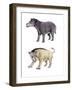 Coryphodon and Titanoides-null-Framed Photographic Print