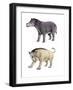 Coryphodon and Titanoides-null-Framed Photographic Print