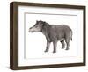 Coryphodon-null-Framed Photographic Print