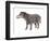 Coryphodon-null-Framed Photographic Print