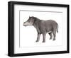 Coryphodon-null-Framed Photographic Print