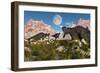 Corythosaurus Nesting Ground Set During the Cretaceous Period-null-Framed Premium Giclee Print