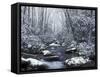 Cosby Creek in Winter, Great Smoky Mountains National Park, Tennessee, USA-Adam Jones-Framed Stretched Canvas