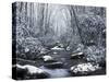 Cosby Creek in Winter, Great Smoky Mountains National Park, Tennessee, USA-Adam Jones-Stretched Canvas