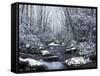 Cosby Creek in Winter, Great Smoky Mountains National Park, Tennessee, USA-Adam Jones-Framed Stretched Canvas