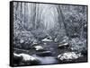 Cosby Creek in Winter, Great Smoky Mountains National Park, Tennessee, USA-Adam Jones-Framed Stretched Canvas