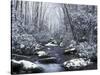 Cosby Creek in Winter, Great Smoky Mountains National Park, Tennessee, USA-Adam Jones-Stretched Canvas