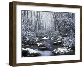 Cosby Creek in Winter, Great Smoky Mountains National Park, Tennessee, USA-Adam Jones-Framed Premium Photographic Print