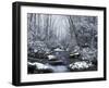 Cosby Creek in Winter, Great Smoky Mountains National Park, Tennessee, USA-Adam Jones-Framed Photographic Print