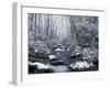 Cosby Creek in Winter, Great Smoky Mountains National Park, Tennessee, USA-Adam Jones-Framed Photographic Print