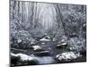 Cosby Creek in Winter, Great Smoky Mountains National Park, Tennessee, USA-Adam Jones-Mounted Photographic Print