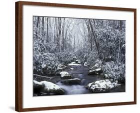 Cosby Creek in Winter, Great Smoky Mountains National Park, Tennessee, USA-Adam Jones-Framed Photographic Print