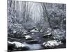 Cosby Creek in Winter, Great Smoky Mountains National Park, Tennessee, USA-Adam Jones-Mounted Photographic Print