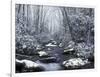 Cosby Creek in Winter, Great Smoky Mountains National Park, Tennessee, USA-Adam Jones-Framed Photographic Print