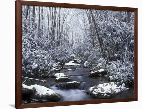Cosby Creek in Winter, Great Smoky Mountains National Park, Tennessee, USA-Adam Jones-Framed Photographic Print