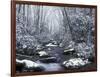 Cosby Creek in Winter, Great Smoky Mountains National Park, Tennessee, USA-Adam Jones-Framed Photographic Print