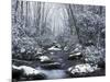 Cosby Creek in Winter, Great Smoky Mountains National Park, Tennessee, USA-Adam Jones-Mounted Photographic Print