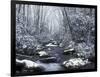 Cosby Creek in Winter, Great Smoky Mountains National Park, Tennessee, USA-Adam Jones-Framed Photographic Print