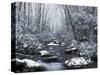 Cosby Creek in Winter, Great Smoky Mountains National Park, Tennessee, USA-Adam Jones-Stretched Canvas