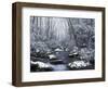 Cosby Creek in Winter, Great Smoky Mountains National Park, Tennessee, USA-Adam Jones-Framed Photographic Print