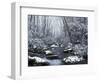 Cosby Creek in Winter, Great Smoky Mountains National Park, Tennessee, USA-Adam Jones-Framed Photographic Print