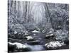 Cosby Creek in Winter, Great Smoky Mountains National Park, Tennessee, USA-Adam Jones-Stretched Canvas