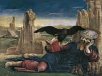 Saint George, C.1475-76-Cosimo Tura-Giclee Print