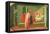 Cosmas and Damian Healing the Sick-Francesco Di Stefano Pesellino-Framed Stretched Canvas