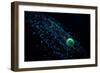 Cosmic Ball-Joe Conroy-Framed Art Print