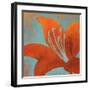 Cosmic Bloom II-Stacy D'Aguiar-Framed Art Print