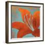 Cosmic Bloom II-Stacy D'Aguiar-Framed Art Print