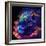 Cosmic Cloud Lion 1-null-Framed Art Print