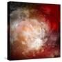 Cosmic Clouds Of Mist On Bright Colorful Backgrounds-Sergey Nivens-Stretched Canvas