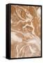 Cosmic Copper 2-Kimberly Allen-Framed Stretched Canvas
