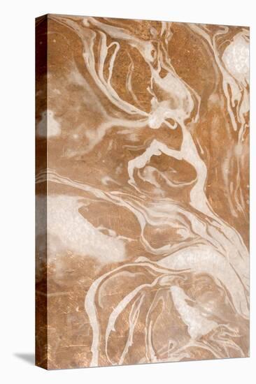 Cosmic Copper 2-Kimberly Allen-Stretched Canvas