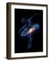 Cosmic Dance-Robert Farkas-Framed Art Print